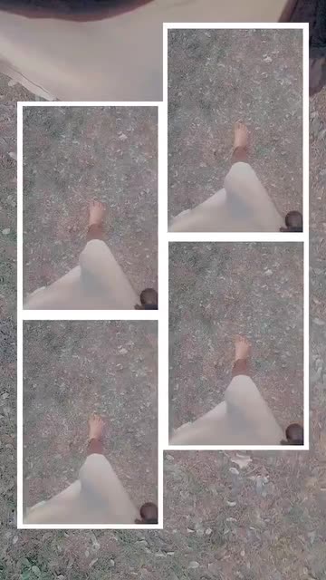 Preview for a Spotlight video that uses the Tender Collage Lens