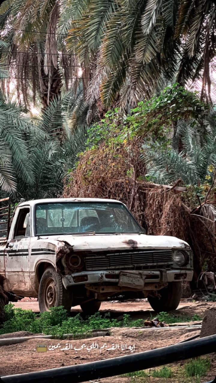 محتوى سناب شات لـ أحمد آل مسعود.