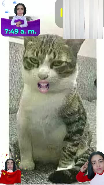 Preview for a Spotlight video that uses the tattoo mad cat Lens