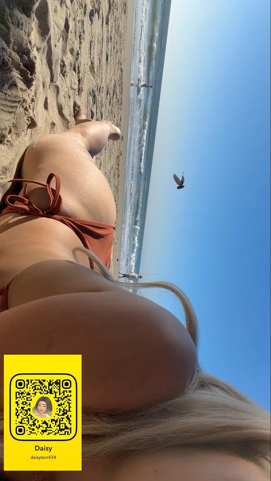 daisytorr434