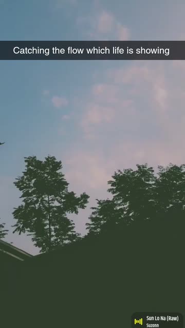 Preview for a Spotlight video that uses the Disposable Lens