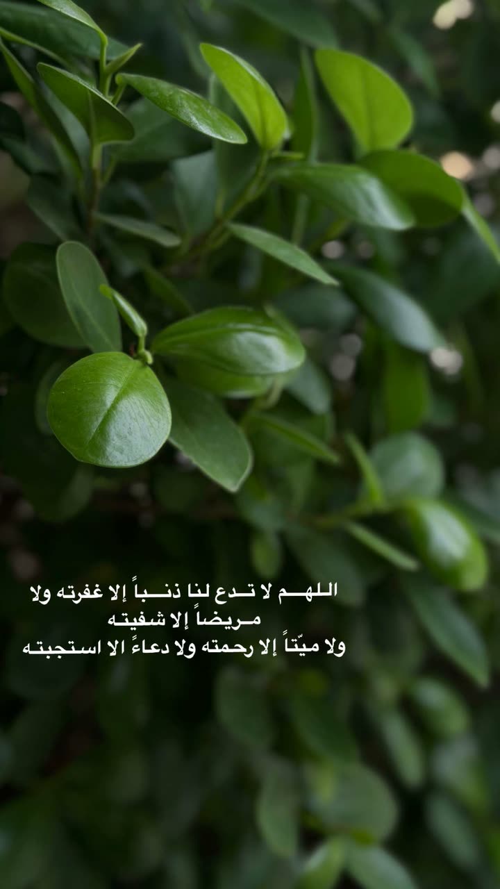 محتوى سناب شات لـ عفرا السويدي 🦋