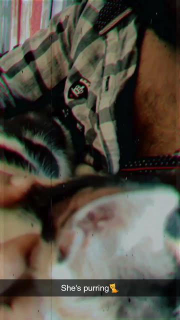 Preview for a Spotlight video that uses the Vintage Film 3 Lens
