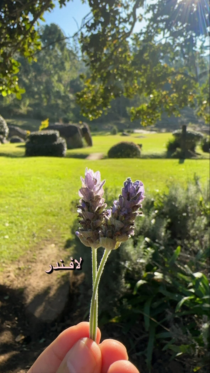 محتوى سناب شات لـ عزان عرعر🇴🇲 ظفار2026🌴