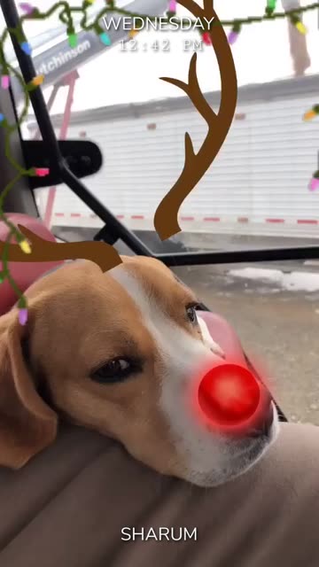 Preview for a Spotlight video that uses the Rudolph Lens