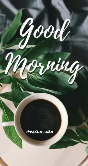 Preview for a Spotlight video that uses the Good Morning Lens