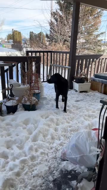 Preview for a Spotlight video that uses the Freeze on Tap Lens