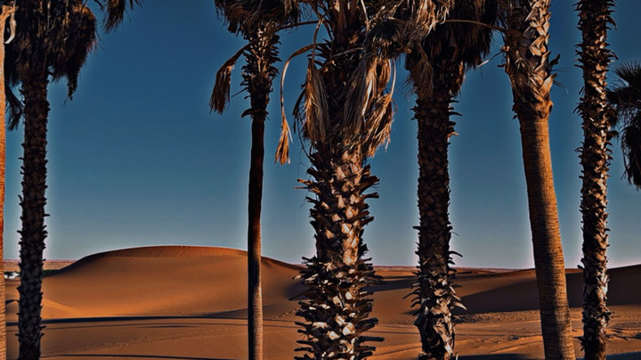 محتوى سناب شات لـ Harmony Of Life