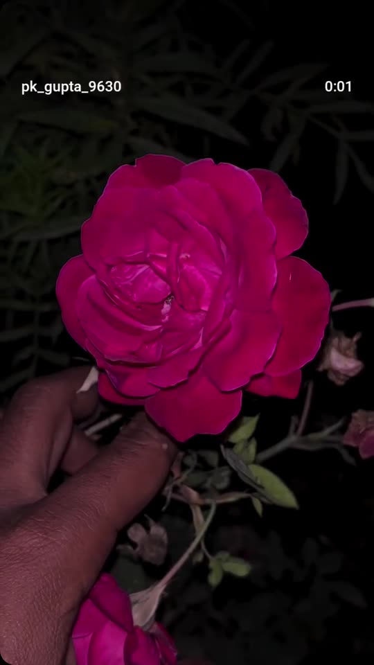 yashminsha