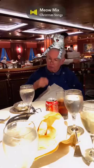Preview for a Spotlight video that uses the Cute Cat Lens