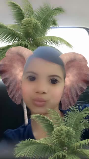 Preview for a Spotlight video that uses the Haathi mere Saathi Lens