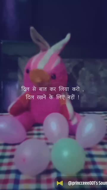 Preview for a Spotlight video that uses the Love Hindi Shayari Lens