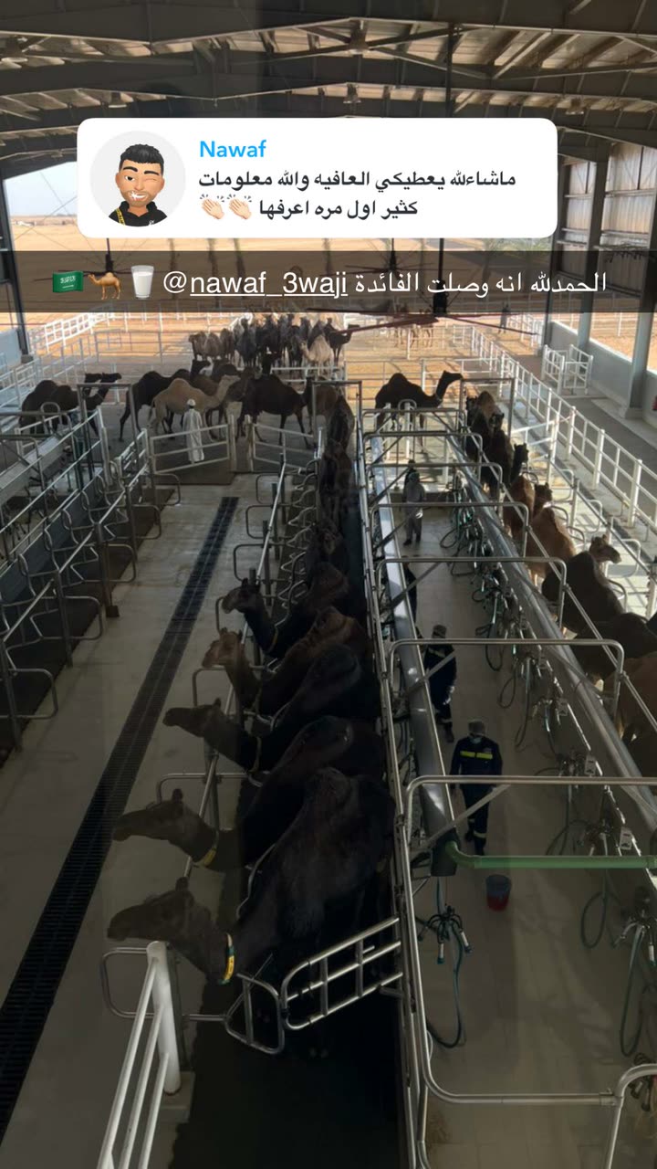 محتوى سناب شات لـ Alanoud Sattam