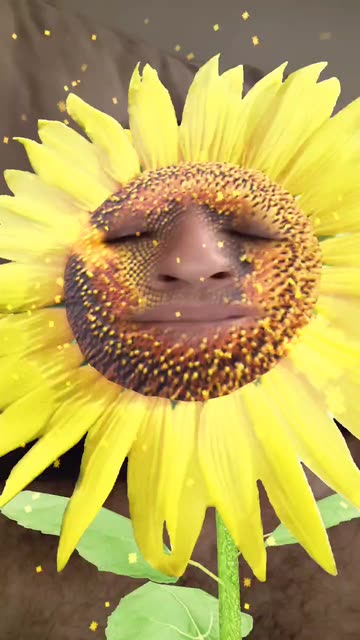 Preview for a Spotlight video that uses the SUNFLOWER ME Lens
