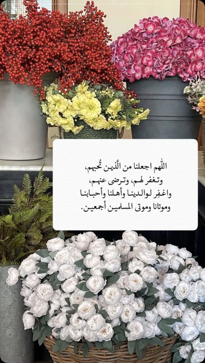 محتوى سناب شات لـ 🐆.. 🤎