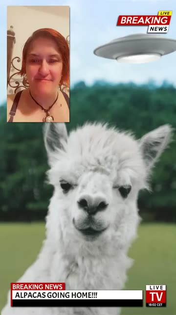 Preview for a Spotlight video that uses the Alpaca going home Lens
