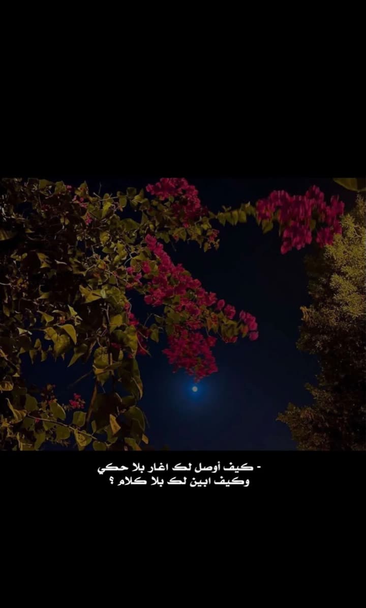 محتوى سناب شات لـ ☤