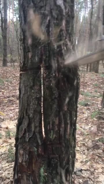 Spotlight content by a Snapchat user