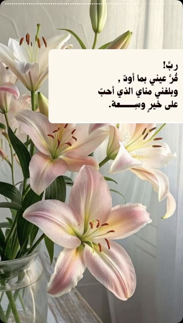 محتوى سناب شات لـ 🐆.. 🤎