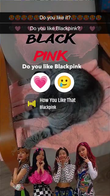 Preview for a Spotlight video that uses the blackpink Lens