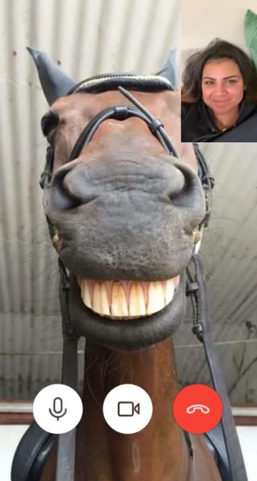 Preview for a Spotlight video that uses the Horse Video Call Lens