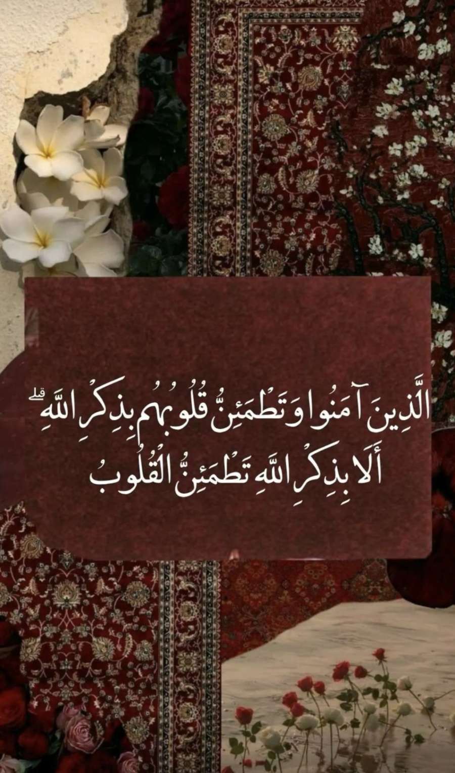 محتوى سناب شات لـ روضة 🇶🇦