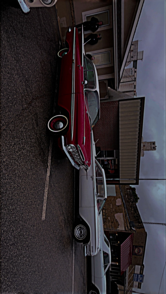 stingray05