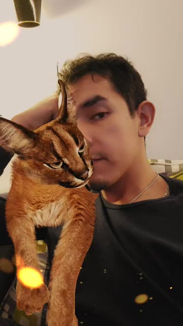 Preview for a Spotlight video that uses the Caracal Lens