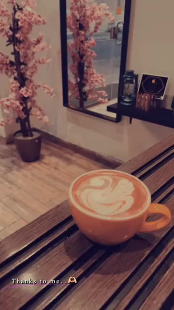 Preview for a Spotlight video that uses the cappuccino Lens