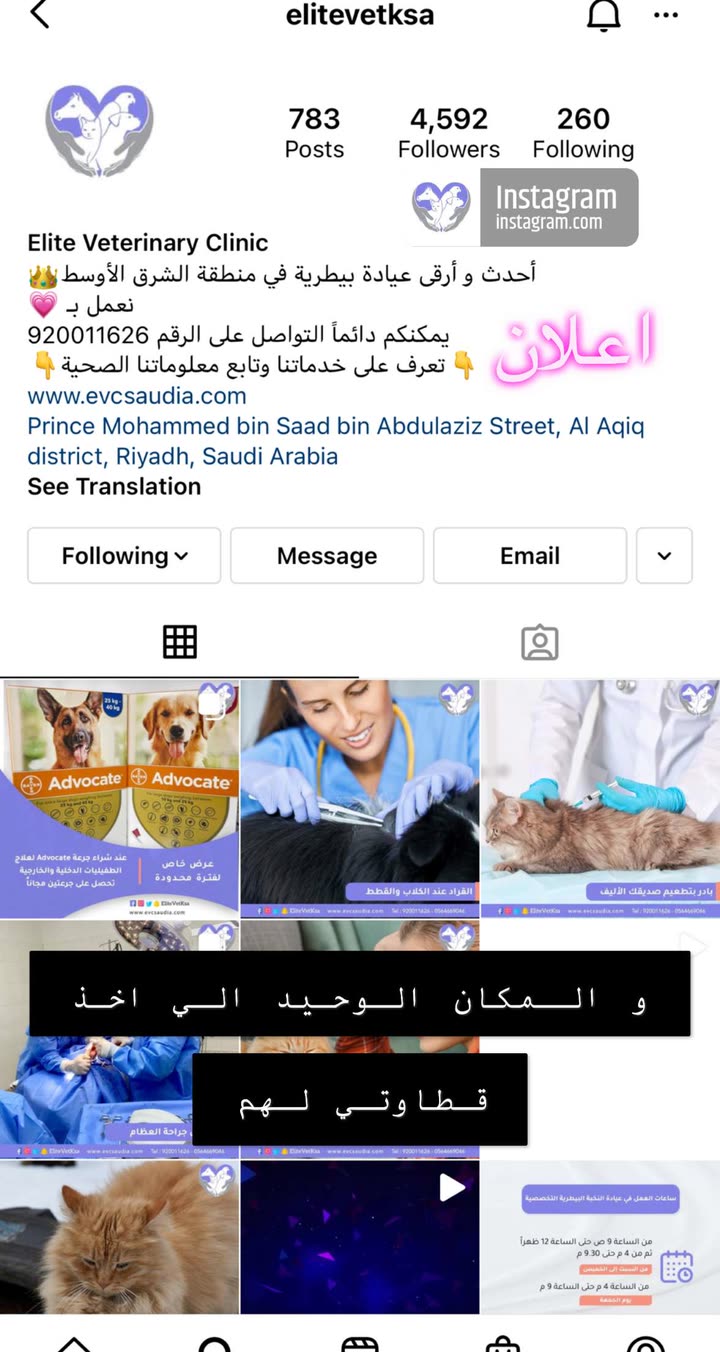 قصة سناب شات للحساب ana_zara رقم 354