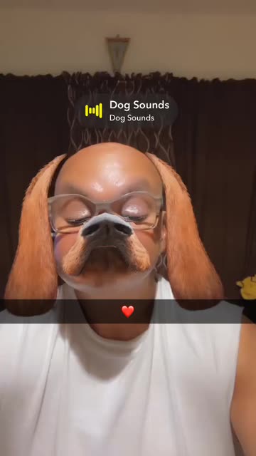 Preview for a Spotlight video that uses the Like a Dog Lens