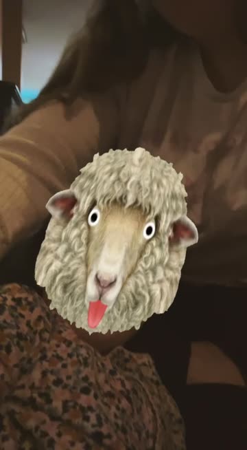 Preview for a Spotlight video that uses the sheep Lens