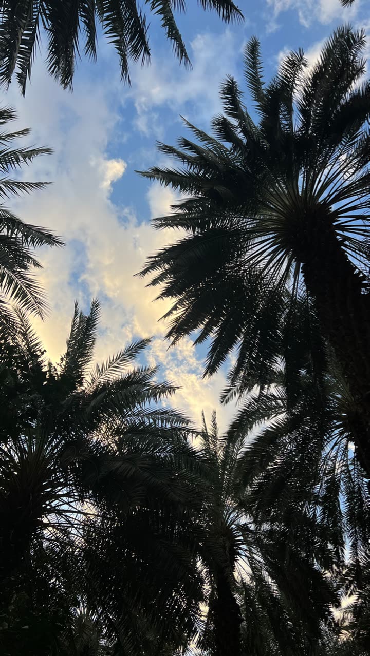 محتوى سناب شات لـ أحمد آل مسعود.