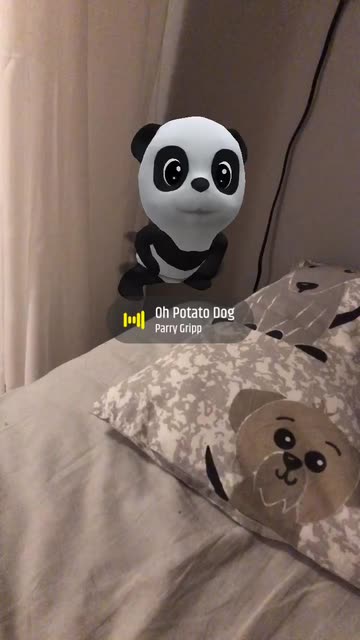 Preview for a Spotlight video that uses the Twerking Panda Lens