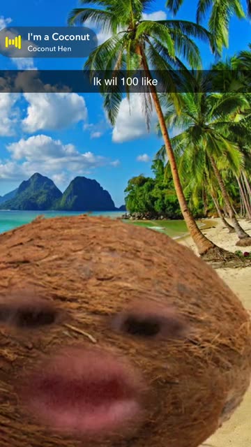Preview for a Spotlight video that uses the Coconut Head Lens