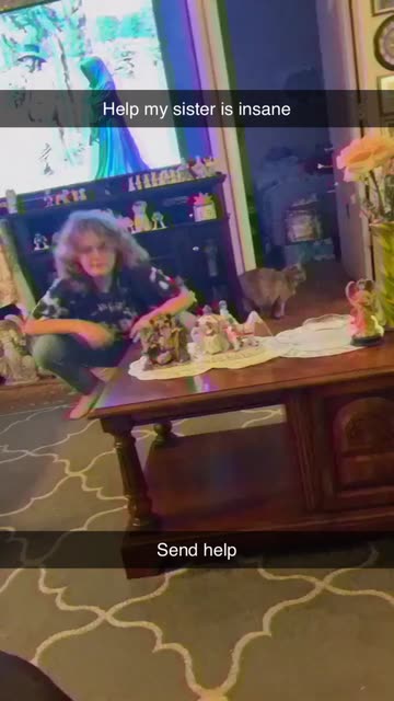 Preview for a Spotlight video that uses the catfish vhs Lens