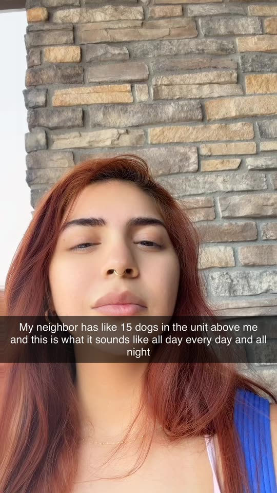 ryomenjanet