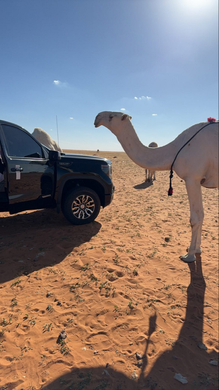 محتوى سناب شات لـ فهد الشمري🇶🇦