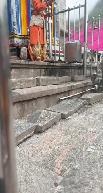 Preview for a Spotlight video that uses the pink leaves Lens