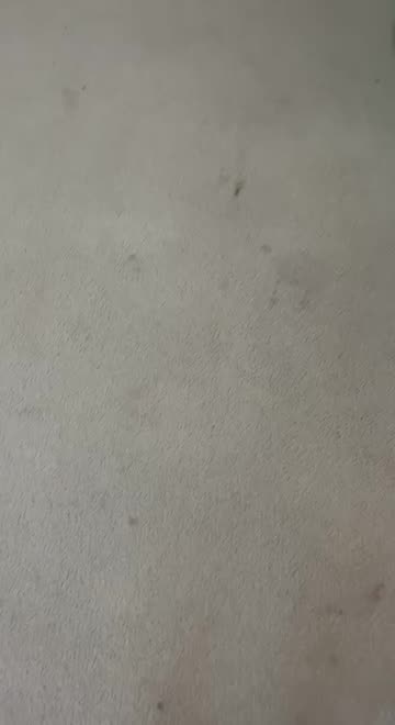 Preview for a Spotlight video that uses the Invited Lens