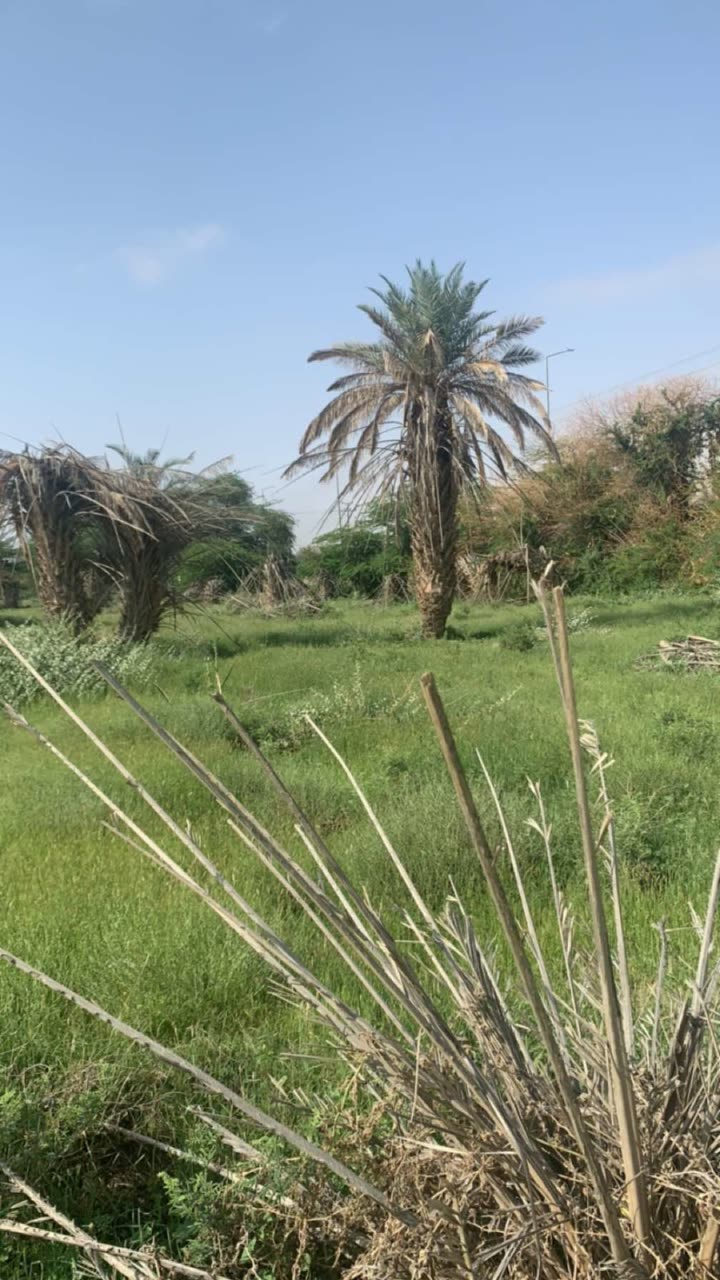 محتوى سناب شات لـ ام عزام