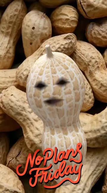 Preview for a Spotlight video that uses the Peanut Lens