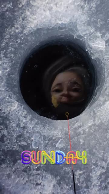 Preview for a Spotlight video that uses the Gold Fish Lens