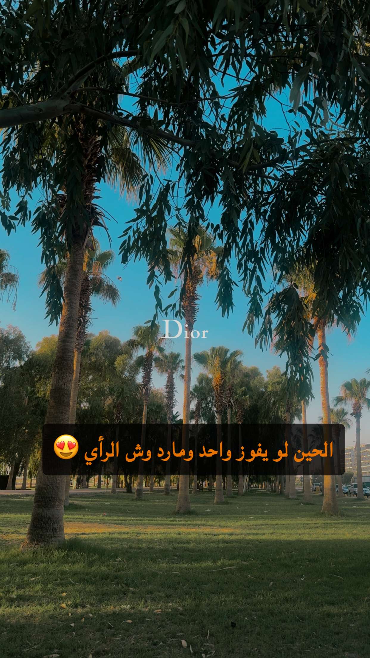 محتوى سناب شات لـ سهم عرعر