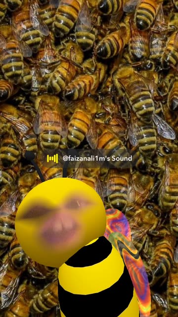 Preview for a Spotlight video that uses the cute bee Lens