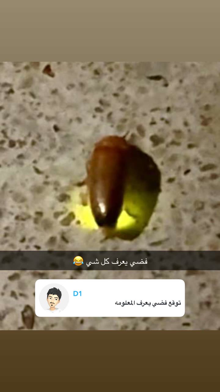 قصة سناب شات للحساب b3der_12 رقم 879