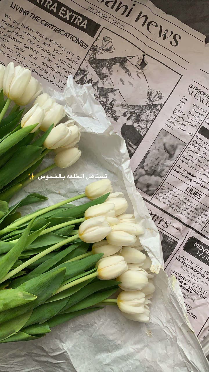 محتوى سناب شات لـ Shmowkh 🍃🎼🐺