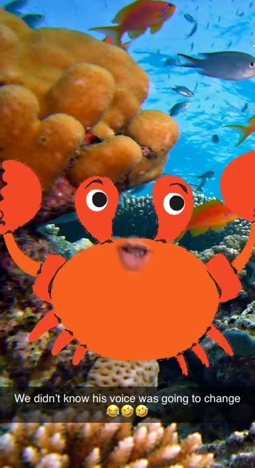 Preview for a Spotlight video that uses the Craby Crab Lens