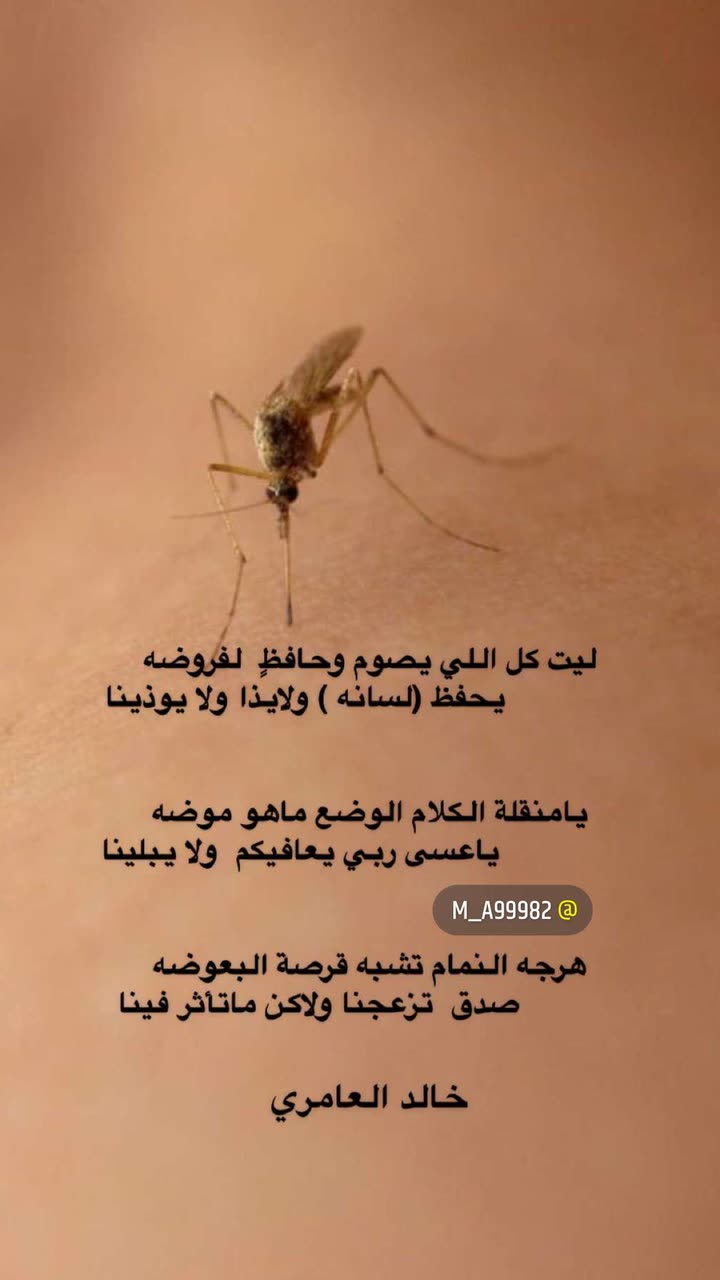 محتوى سناب شات لـ إنسان 💫