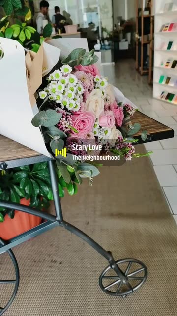 Preview for a Spotlight video that uses the dslr camera Lens